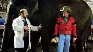 Задник к фильму "Смоки и Бандит 2" #341169