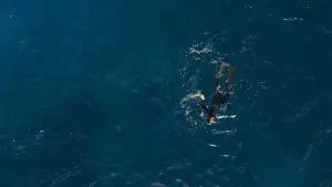 Задник к фильму "Подводный капкан" #323415