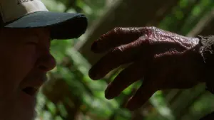 Задник к фильму "" #487142