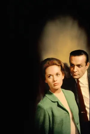 Постер к фильму "Марни" #235534