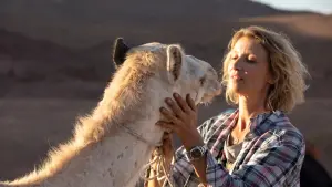 Видео к фильму Принц пустыни | трейлер французских приключений ПРИНЦ ПУСТЫНИ, в кино с 6 апреля