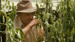 Задник к фильму "Крёстный отец" #518677