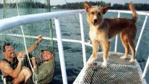 Задник к фильму "Зевс и Роксана" #491443