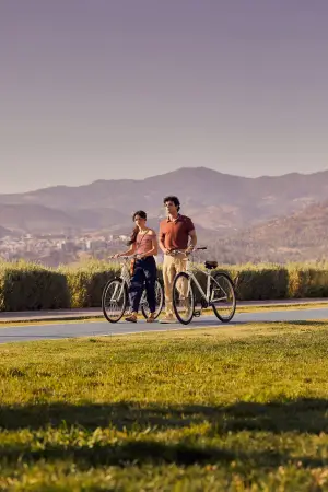 Постер к фильму "" #739366