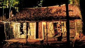 Задник к фильму "Зловещие мертвецы 2" #207830