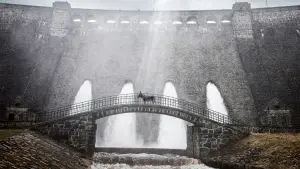 Задник к фильму "Иа" #195288