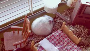 Задник к фильму "Нимфоманка: Часть 1" #696878