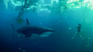 Задник к фильму "" #595592