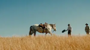 Задник к фильму "Старый Генри" #229784