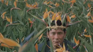 Задник к фильму "Точка Кипения" #451369