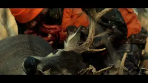 Задник к фильму "" #480365