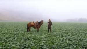 Задник к фильму "Нефть" #624095