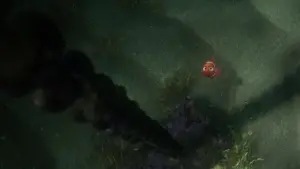 Задник к фильму "В поисках Немо" #171052