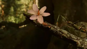 Задник к фильму "Лабиринт Фавна" #597392