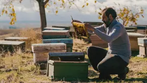 Задник к фильму "Зла не существует" #372514