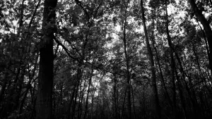 Задник к фильму "" #464379