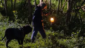 Задник к фильму "" #385344