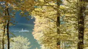 Задник к фильму "Жизненная необходимость" #705208