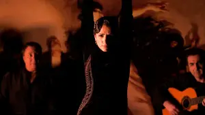 Задник к фильму "Фламенко, фламенко" #744753