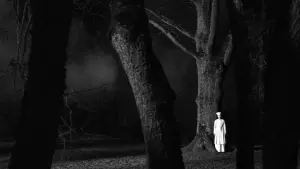 Задник к фильму "Ноябрь" #403525