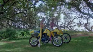 Задник к фильму "Спинорог Пикассо" #460475