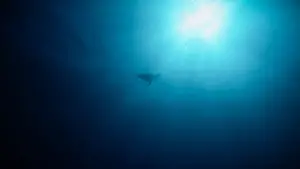 Задник к фильму "" #543136