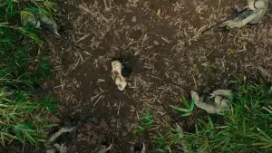 Задник к фильму "Военнопленный" #558310