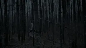 Задник к фильму "Ведьма" #600252