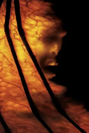 Постер к фильму "Джиперс Криперс 2" #443485