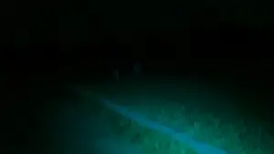 Задник к фильму "" #540192