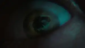 Задник к фильму "Хэллоуин заканчивается" #699662