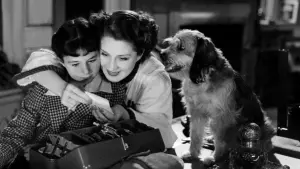 Задник к фильму "Женщины" #400567