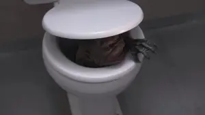 Задник к фильму "Гоблины 2" #494664