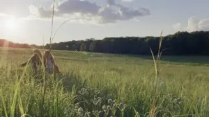 Задник к фильму "" #457297