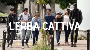 Задник к фильму "Сорняки" #202702