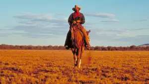 Задник к фильму "Куигли в Австралии" #273617