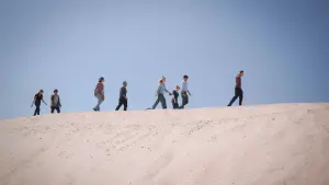 Задник к фильму "" #453446