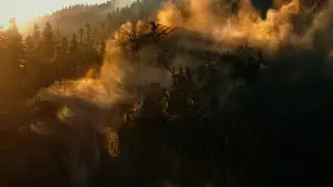 Задник к фильму "Планета обезьян: Революция" #596976