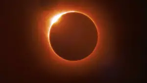 Задник к фильму "Дюна 2" #529076