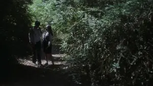 Задник к фильму "Донни Дарко" #528241