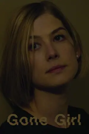 Постер к фильму "Исчезнувшая" #488056