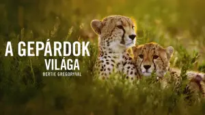 Задник к фильму "Гепарды: лицом к лицу с Берти Грегори" #539388