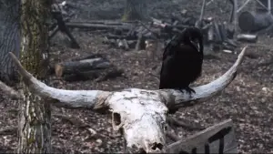 Задник к фильму "Убойные каникулы" #535289