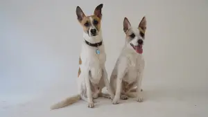 Задник к фильму "" #412756