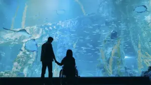 Задник к фильму "Жозе" #423170