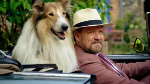 Задник к фильму "Лесси. Лохматый детектив" #503124