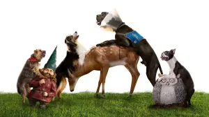 Задник к фильму "Отвязные дворняги" #212164