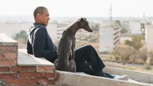 Задник к фильму "" #600686