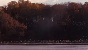 Задник к фильму "Общество мёртвых поэтов" #573886