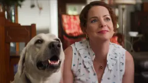 Задник к фильму "Пропала собака" #384469